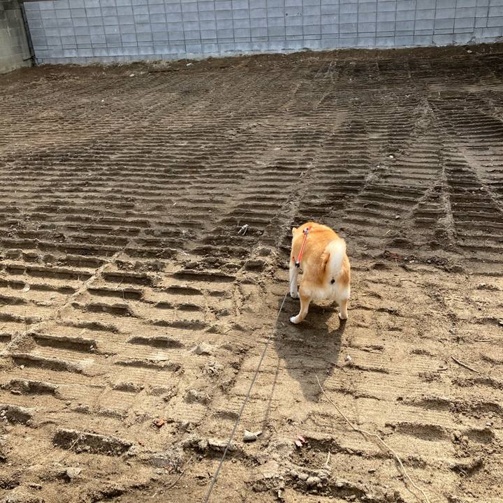 48bc50fb 7974 443e ae15 5057c41ba272 1617879846393