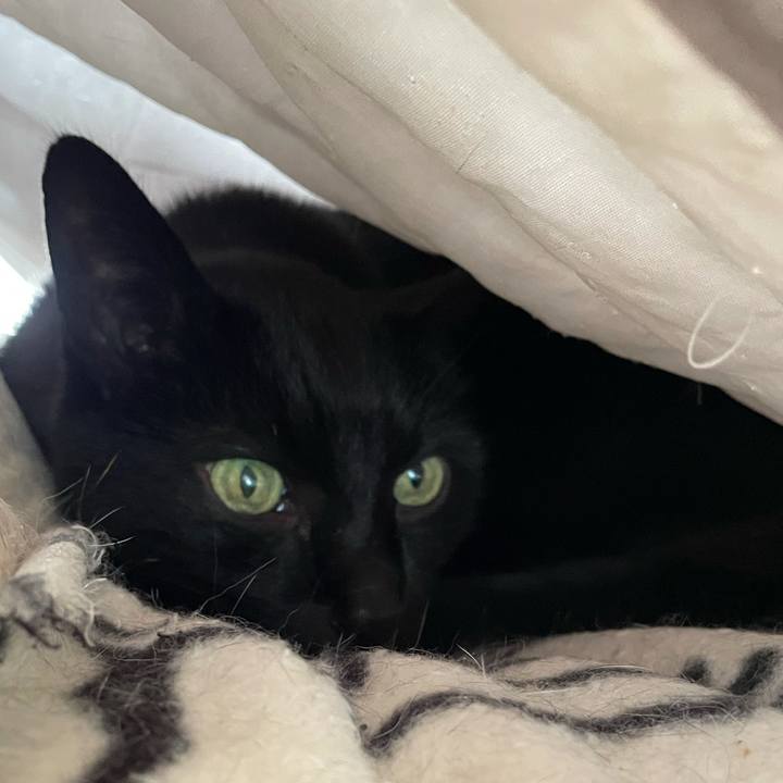 48bc61d3 16f5 4d76 85af 96c36bd3673f 1616464841774