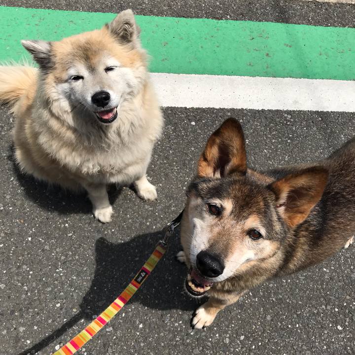 48bc67ec c444 42e2 8be7 dba41d4a00a3 1557888620474