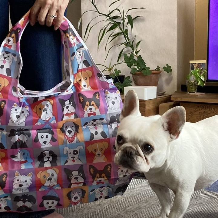 48bc6b78 d339 48cb 831a 89dfc00296bf 1714543589098