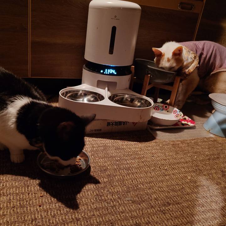 48bc9d7d bfdc 4d47 866f 5352f0e222b9 1772461509457