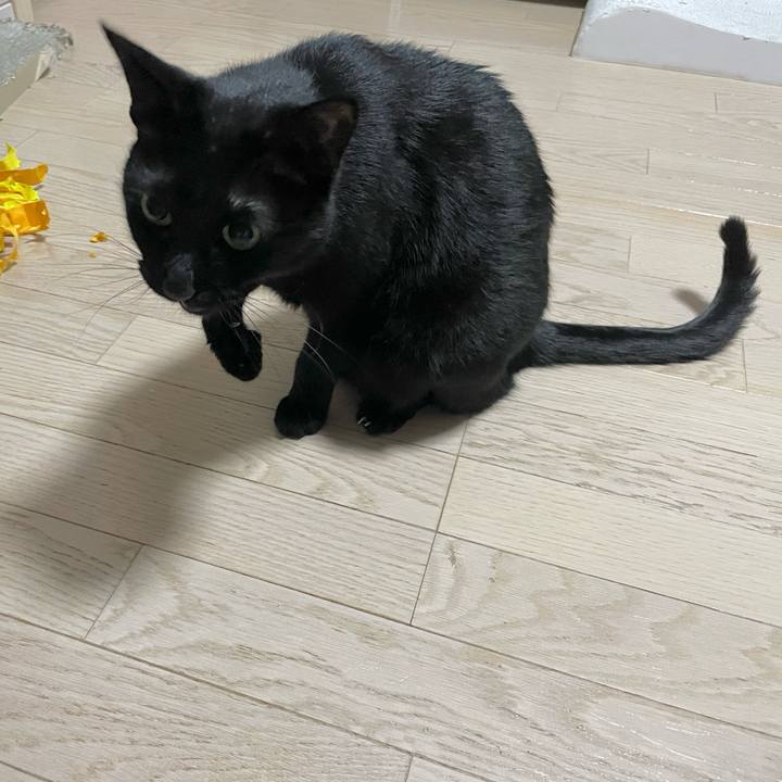 48bced42 eca0 47e7 9762 ebd04a6aa222 1682428923137