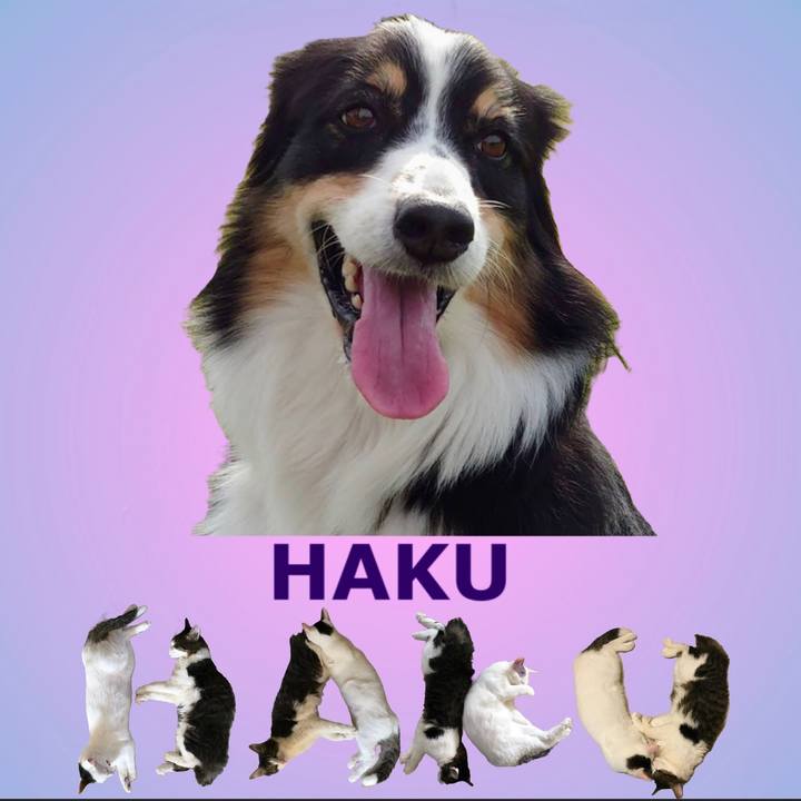 48bd3775 0ca5 43ba 8d8d b5ef60c44d42 1669273813853