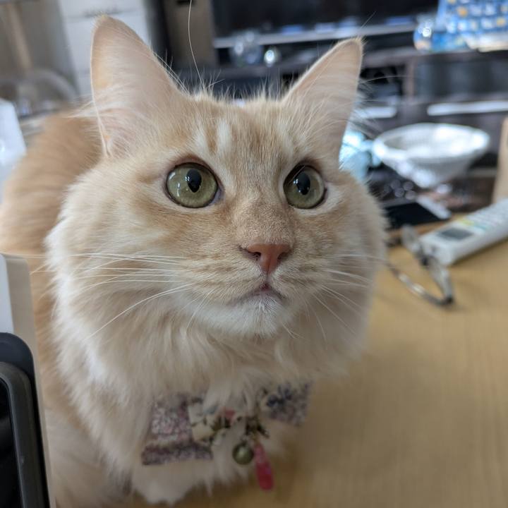 48bd3924 c8b6 494c 8edd 0d9429c0034c 1767923013138