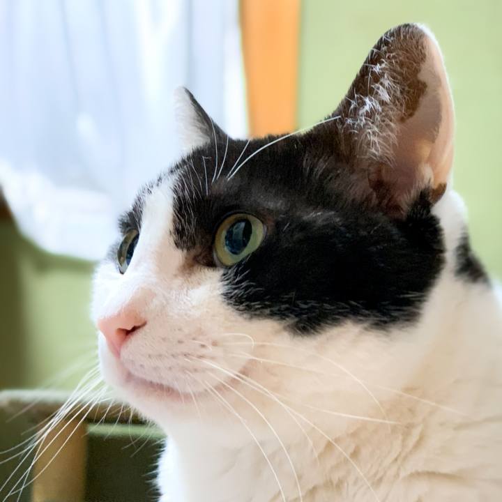 48bd4dbf a538 4581 a058 4cd3bc96ae2b 1589853522519