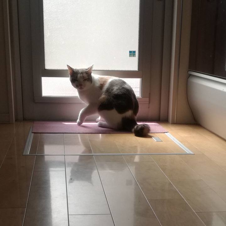 48bd522f 53e0 4544 9adf 2861843f9c95 1520735822519