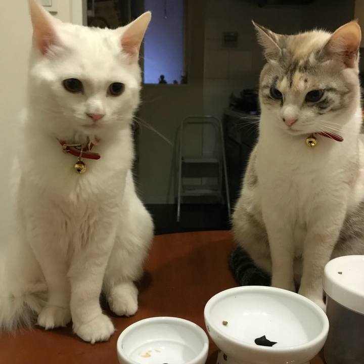 48bd605f 018f 4e0f 8d5c 3db9ae32904f 1514374342800