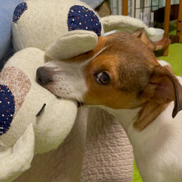 48bdba12 85d7 4367 b7c7 540687a7e6b6 1695037425918