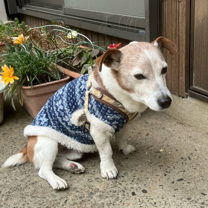 48bdbb1d 30dc 4c30 a835 4e95f3d016b1 1769564079025