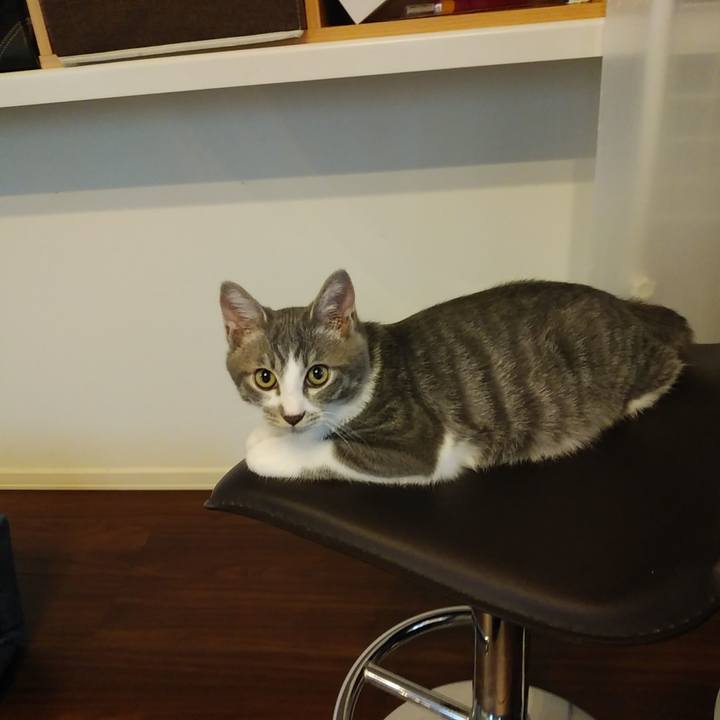 48bdf02c e51b 4ccf ac2d 9e65640e29f3 1566461314779