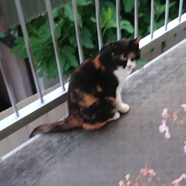 48be82d9 6210 4598 ba7c 554e857ee637 1528510509412