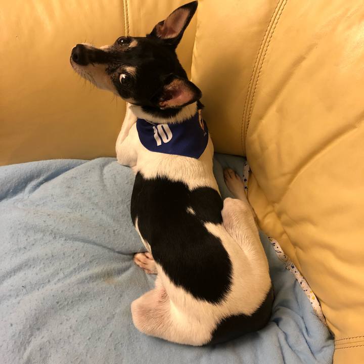 48bea58a 10a3 4464 9e45 e7dfc15116e8 1530190664622