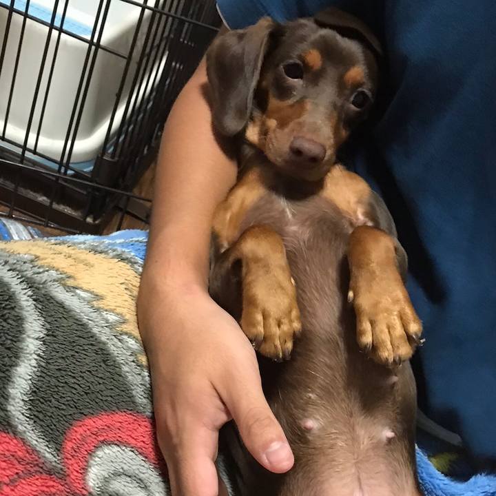 48bebeef 6273 4f56 acf8 92511b2702a1 1509447630923