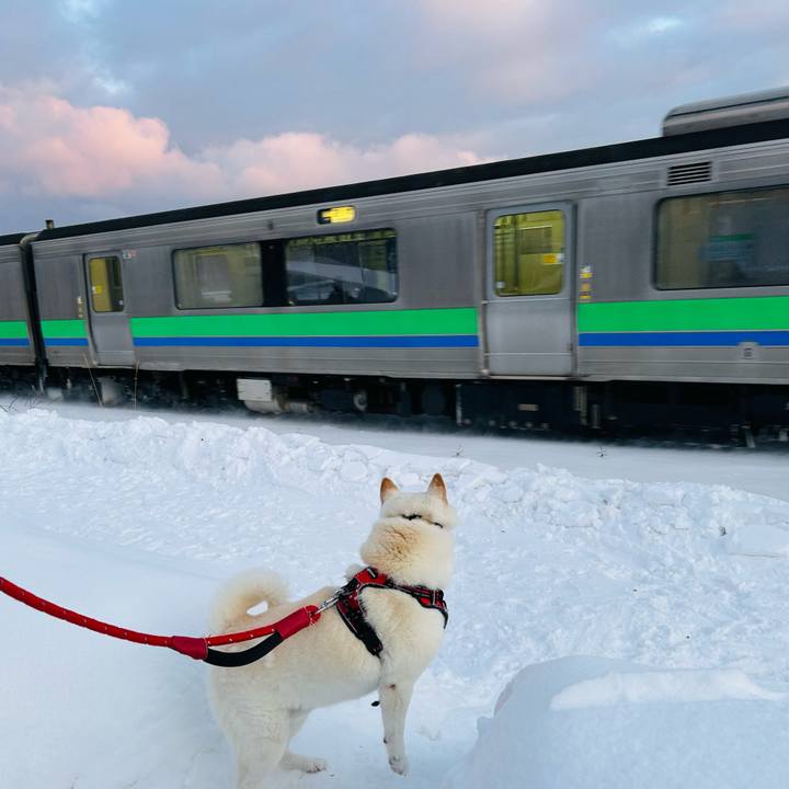 48bed3a5 2622 4bf0 9385 8cc95c6d6d66 1704324266709