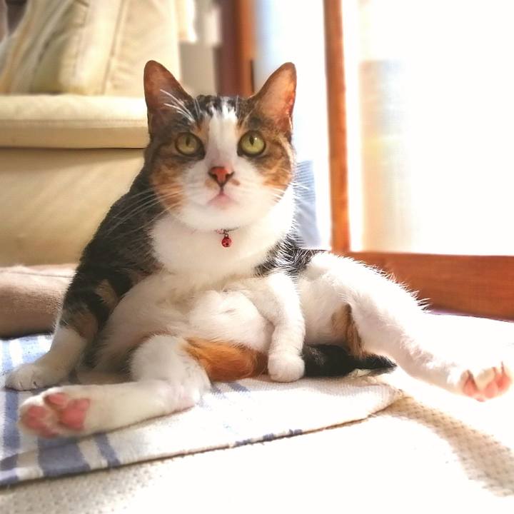 48bed77e b1e2 42e1 9702 74c17fecce59 1627296005172