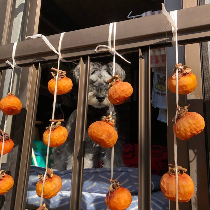 48bedc85 7e5f 42dc 8ec0 9dd88891a881 1698981323074