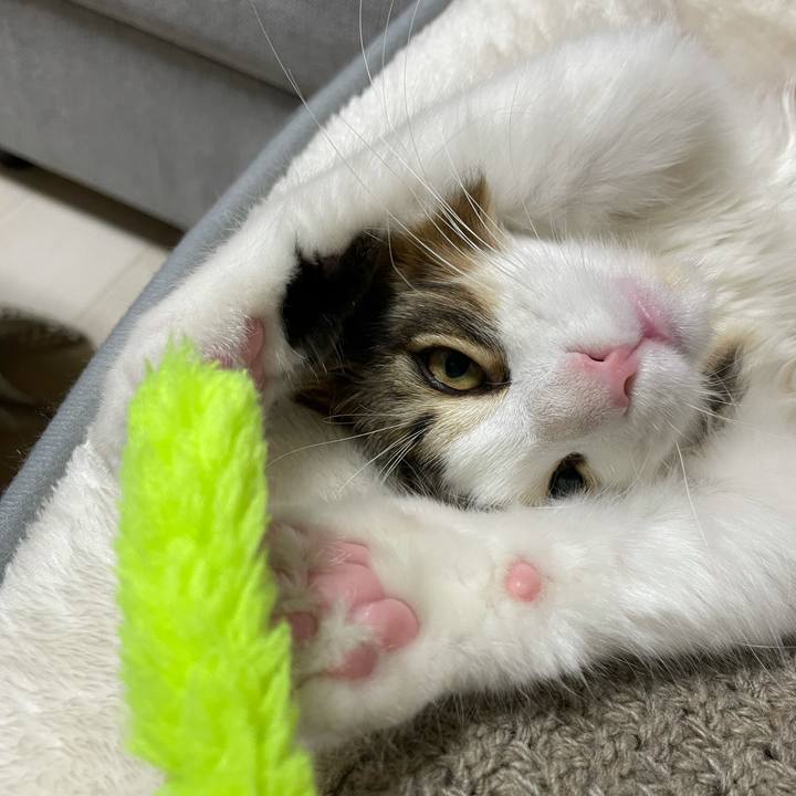 48bedf14 f363 41a7 885f b5bebda17ec7 1634555729590