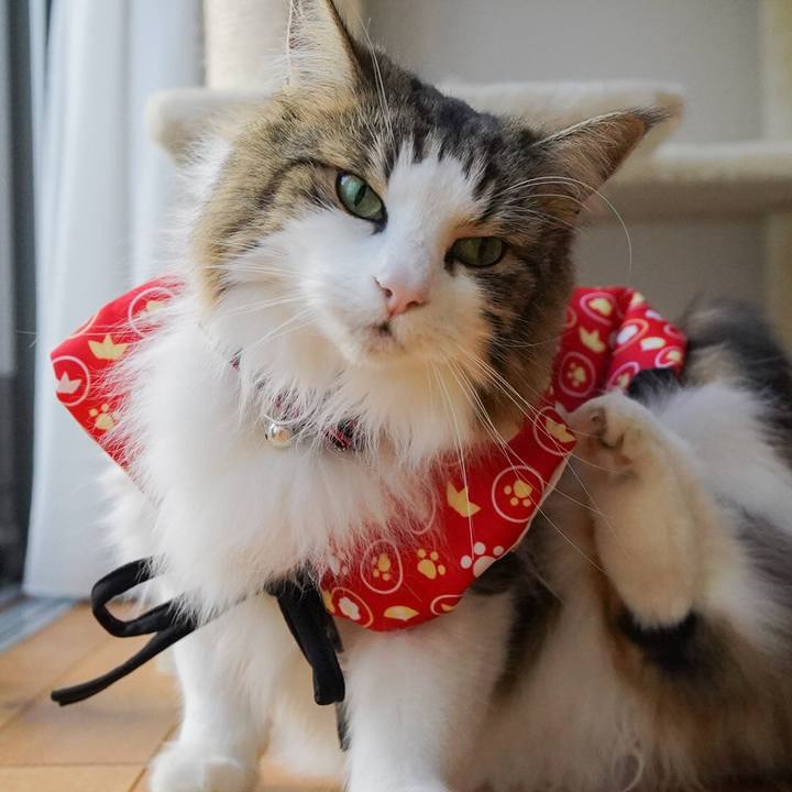 48bf3862 95e0 4b76 8ba1 c862266d44ef 1609556787942