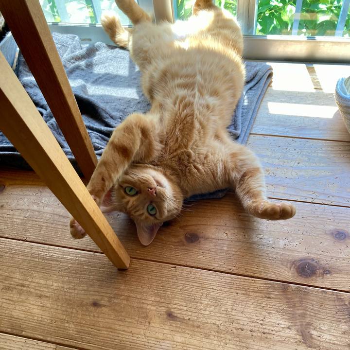 48bf4970 1325 4a8a 872e 9f8a55d4084c 1714864737558