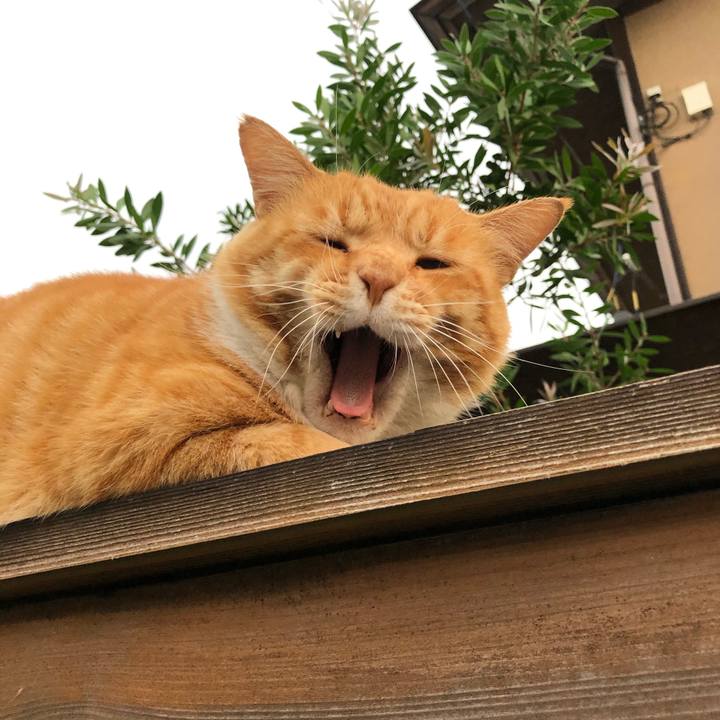 48bf64e3 92df 4813 a9d1 c4acd124d9a5 1600557192249