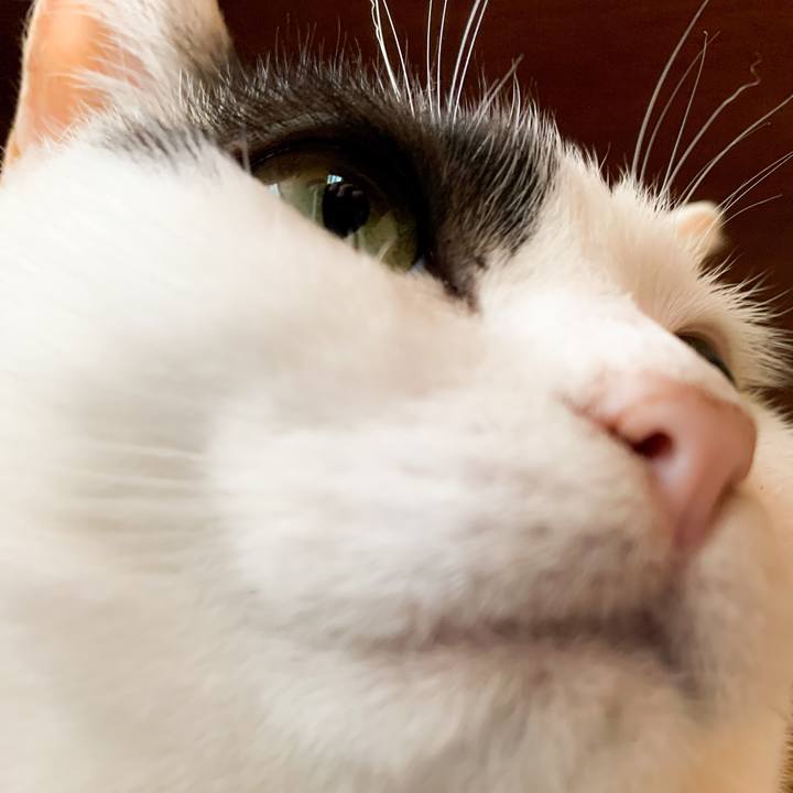 48bf666e 0425 4d7f a99e 21492557d6ee 1592876056607