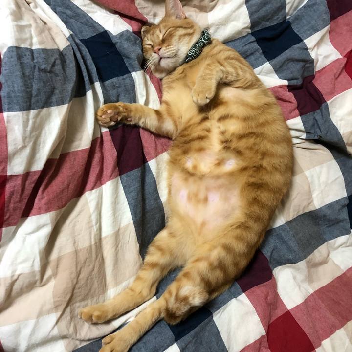 48bf8204 08a1 434a b9b8 61bf3f42cf25 1580810511696