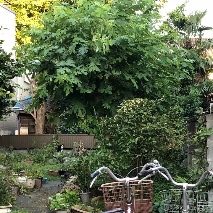 48bfa643 e688 495f af33 bdd20b78ed8a 1538397260714