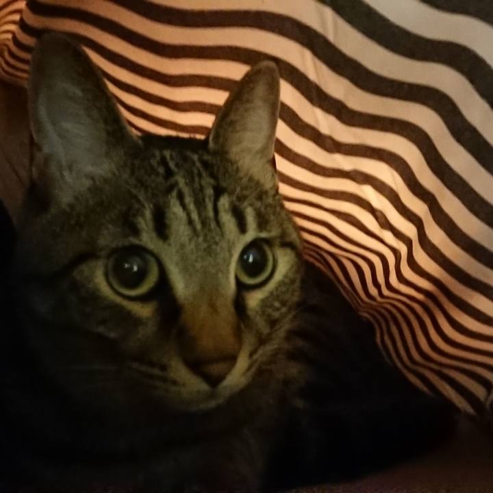 48bfb614 350f 4818 9eaa 177852f2020f 1512085240860