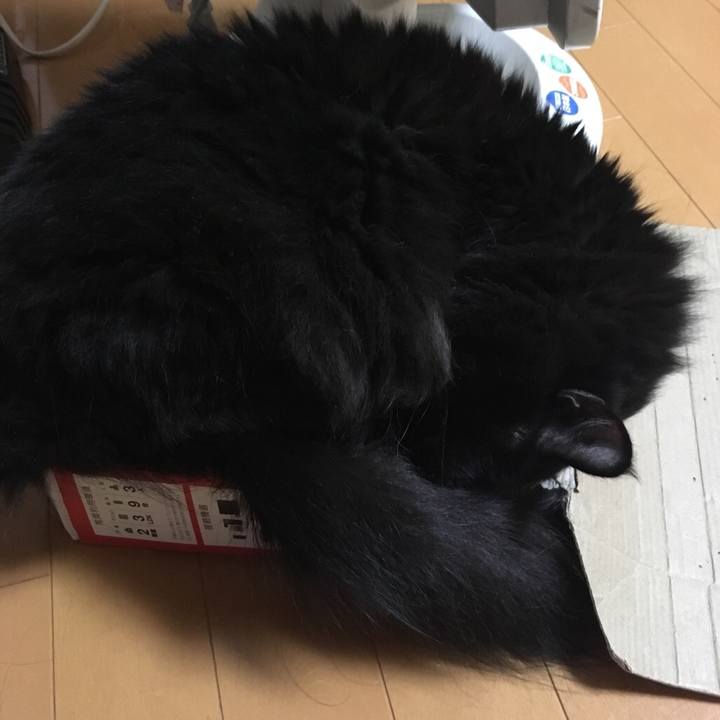 48bff765 d368 498e 9cf2 716542907750 1542380985283