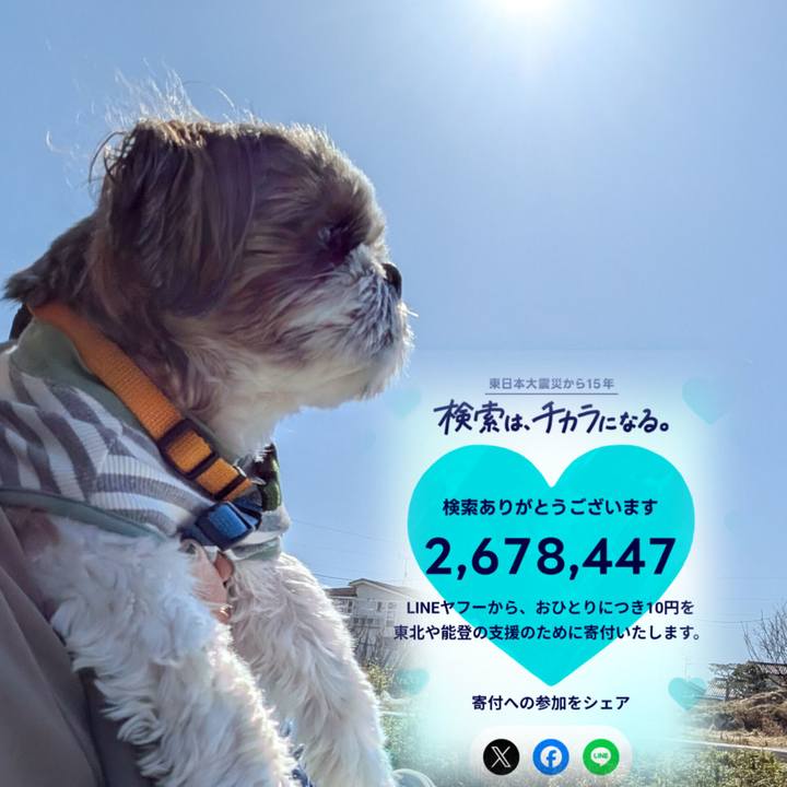 48c00859 176f 4282 937b 83ecd88bae5f 1773239414298