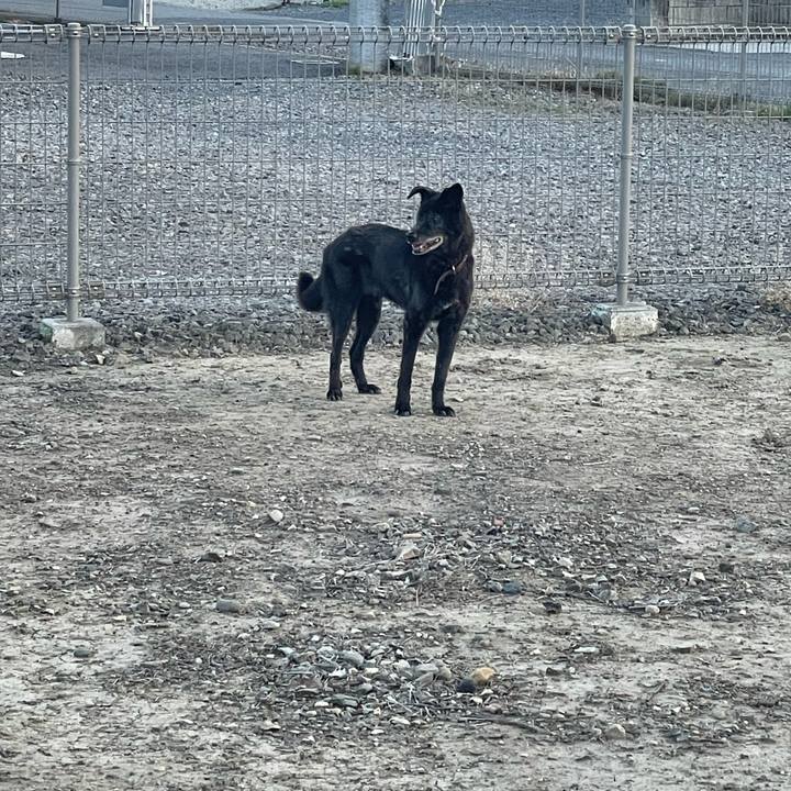 48c0217a baa6 4807 8e9b 605e66c7d601 1714901614973