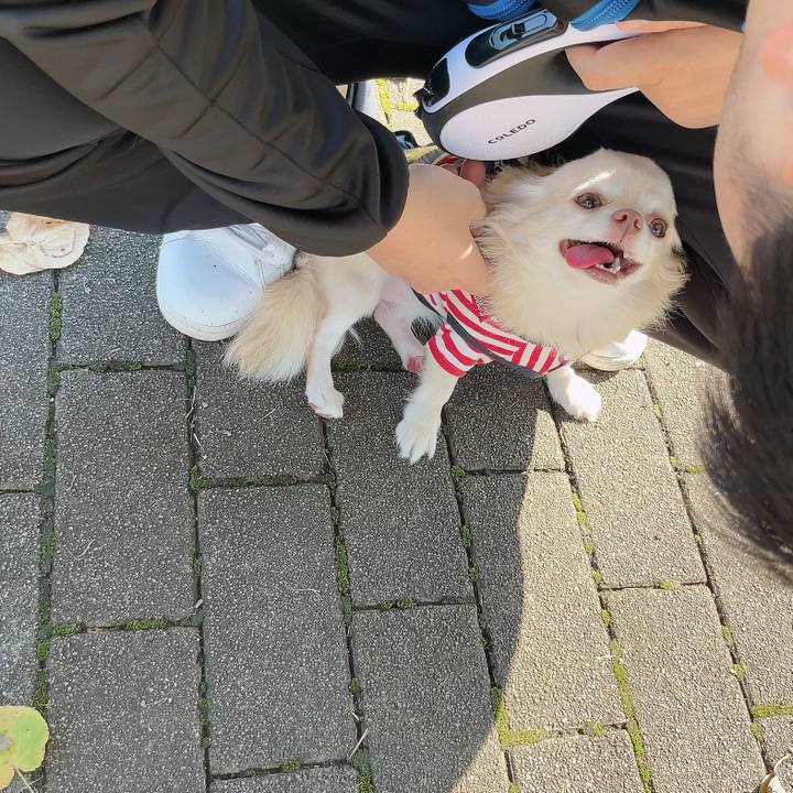 48c0480b e249 4e22 991d 12af4c47951a 1730606724985