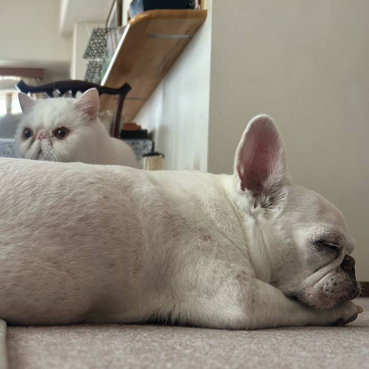 48c078f1 9610 4f19 88fb 0f0590659016 1757812157338