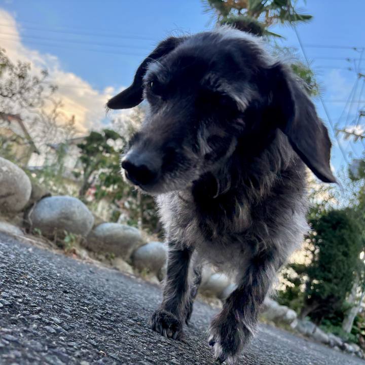 48c07cd1 893c 462f a121 32985a9b96e0 1763766643746