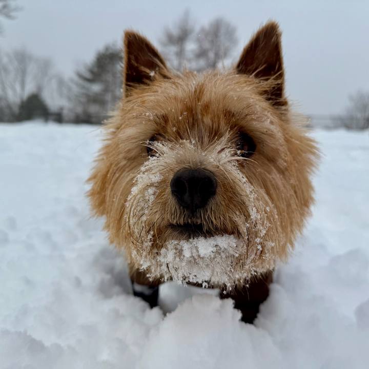 48c089aa 016e 4c52 8ce4 15ce3d7fd4e8 1769951220398