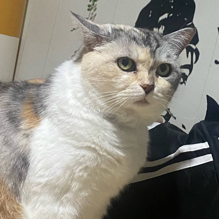 48c0beb9 a74d 4f9c 9681 2a7c89ebef7d 1719119622204