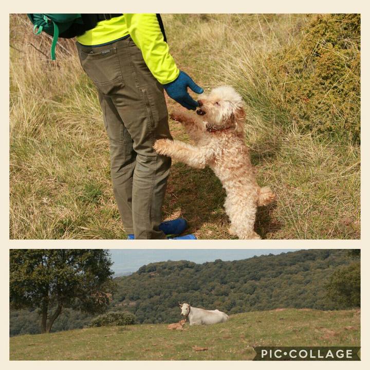 48c0ca57 52d2 43bb 8770 6fe378e56ddd 1556471249268