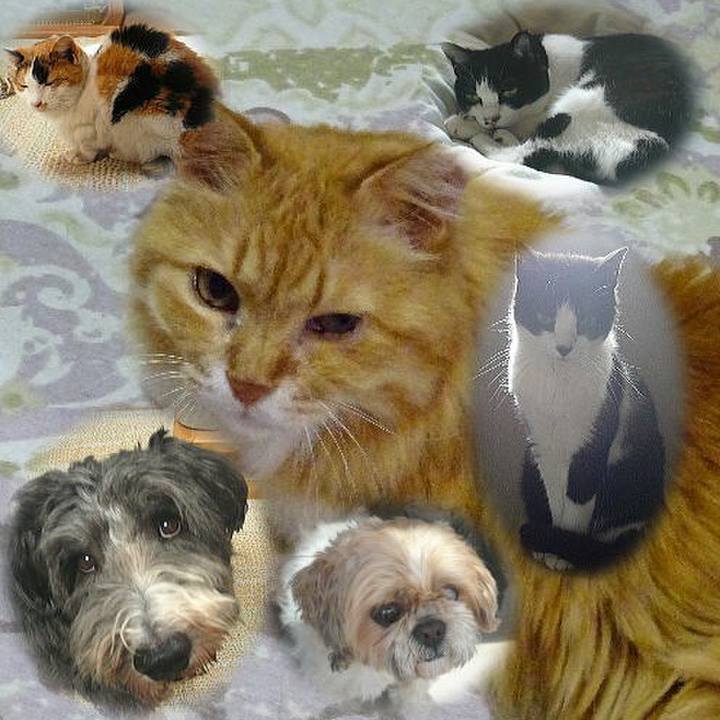 48c0cb52 99ac 4fc5 8f12 628f109c9df3 1523750650288