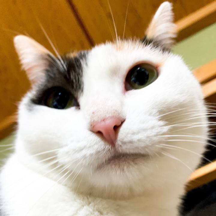 48c0e83f d0a1 4f94 a486 734ec4956092 1548119845008