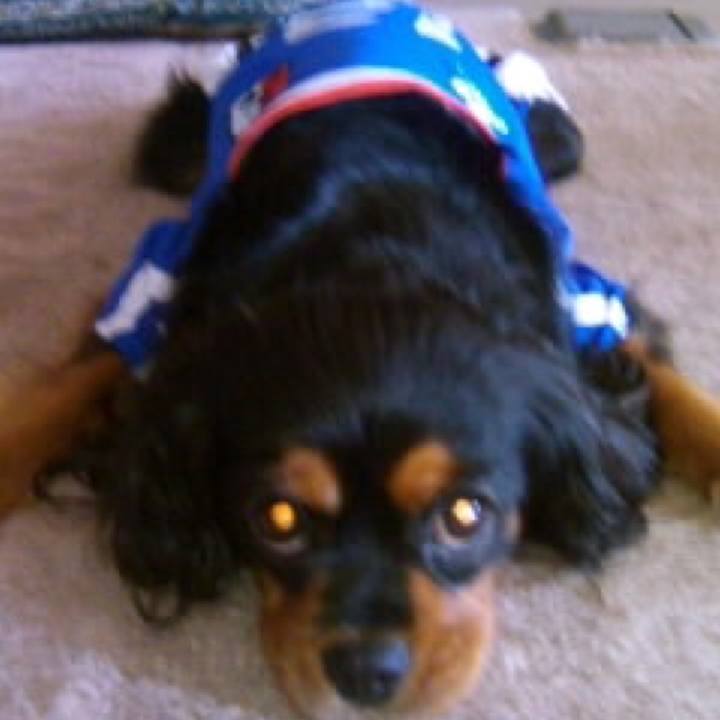 48c0ec06 bdc7 4719 bc49 50cb3785050a 1574753250130