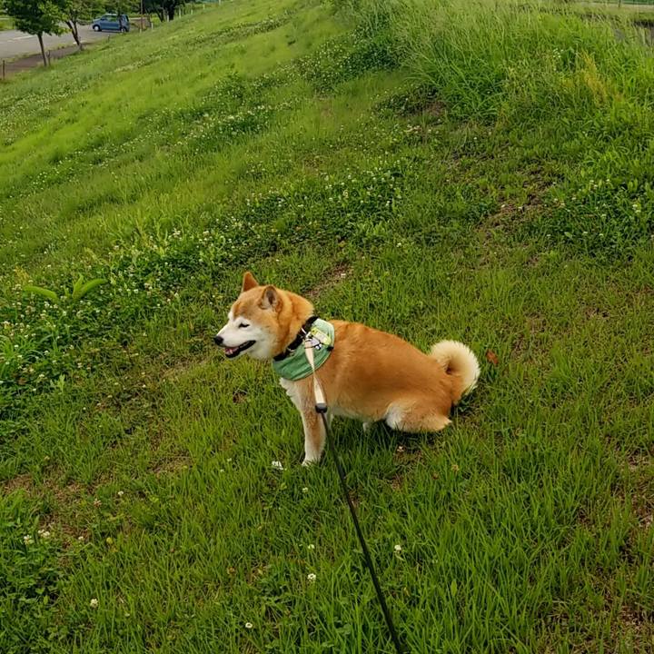 48c0ef39 4c40 409f bbd8 2910bed70667 1658477458675