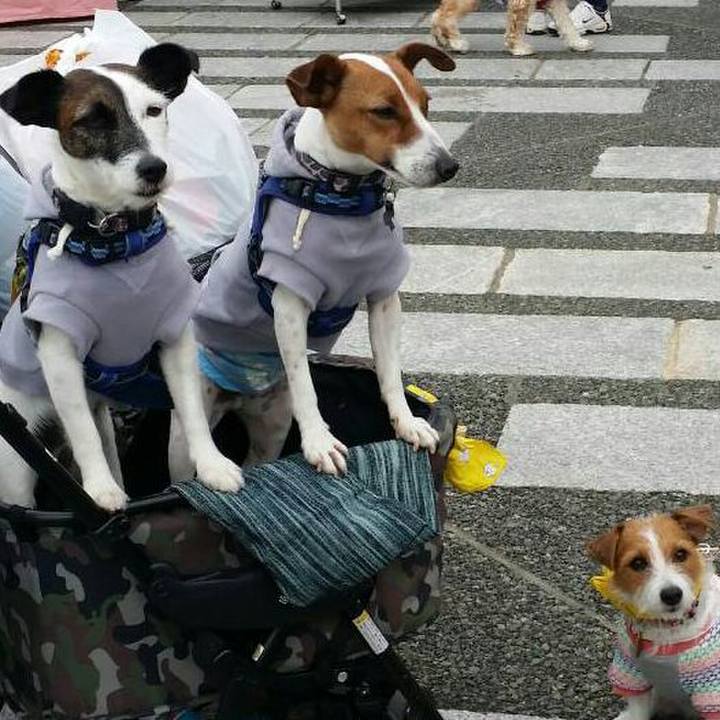 48c11789 5cc6 4475 81ab b89a13a53cce 1539427749750