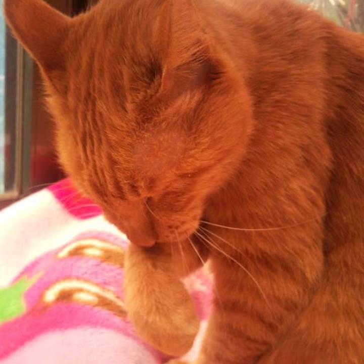 48c12e2f b19c 42e8 8a8c a1b59515bfd3 1681955885390