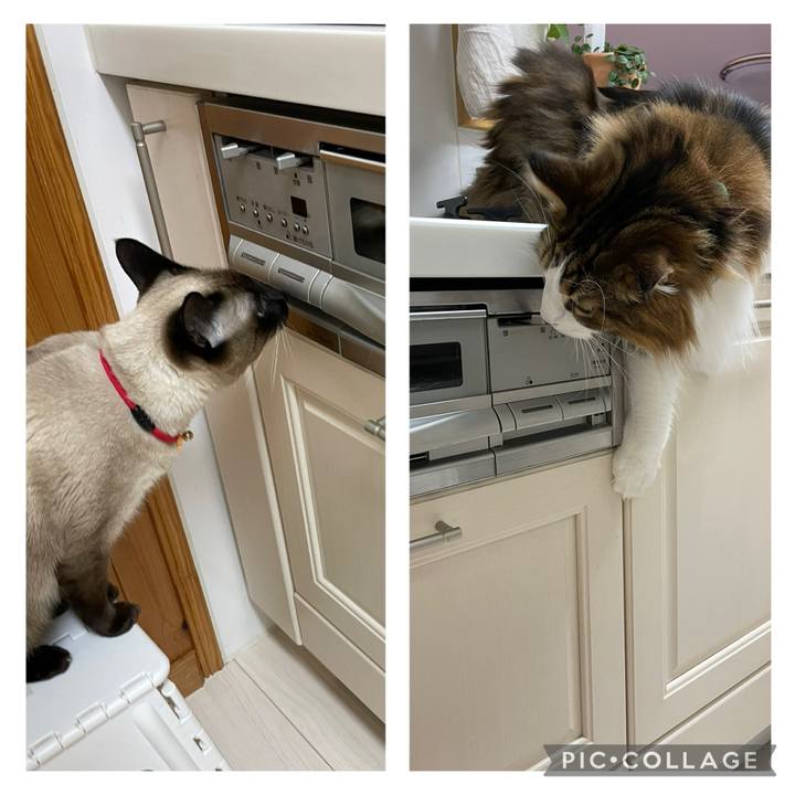 48c1d1da 2914 44fb 896d 2f8cf94c270c 1735158683244