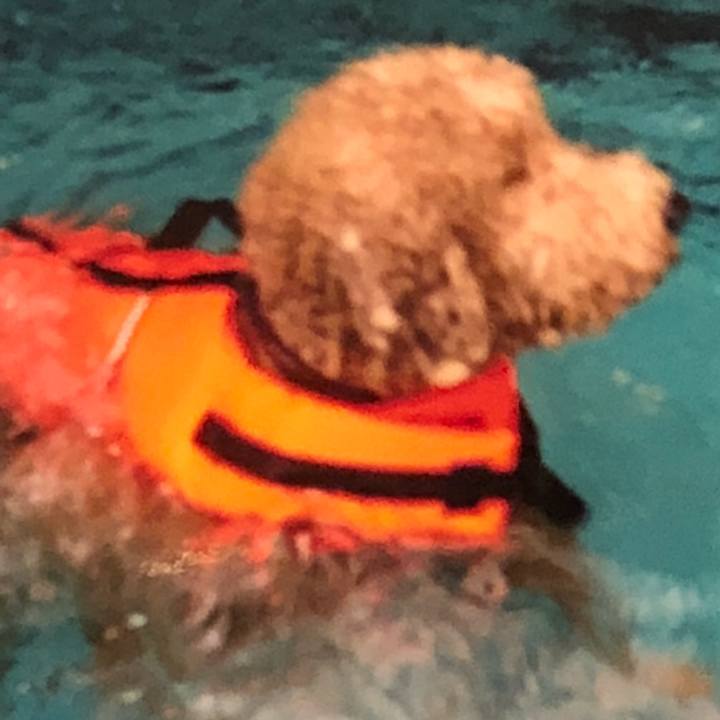 48c1e2e3 32d2 4af1 82f7 4b8841acb5be 1517668221686