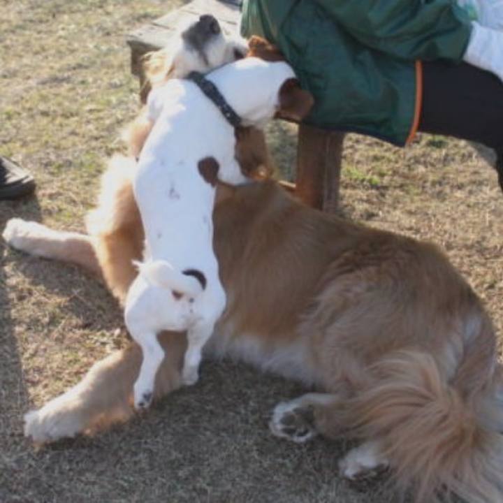 48c1e653 0595 409e 81e5 fadeeb4dc420 1511943008950