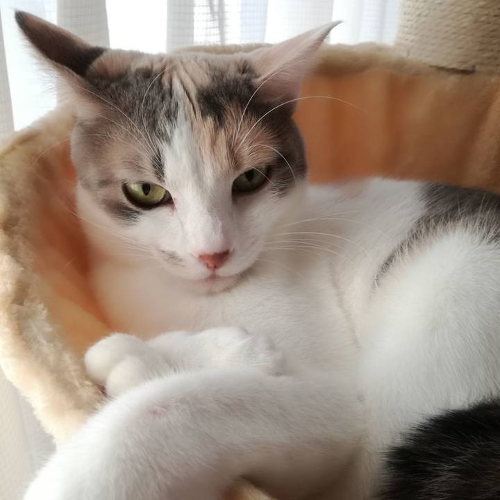 48c1fd95 eeea 4eb4 a9ca 46b05ec1c241 1539817335093