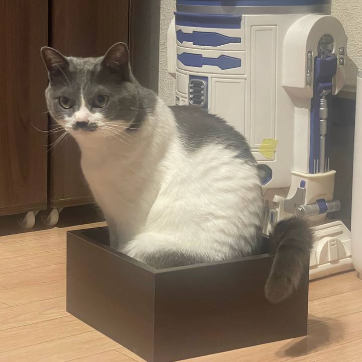 48c235d6 b8ea 4fa9 a0a1 d6047414c4f4 1653915415345