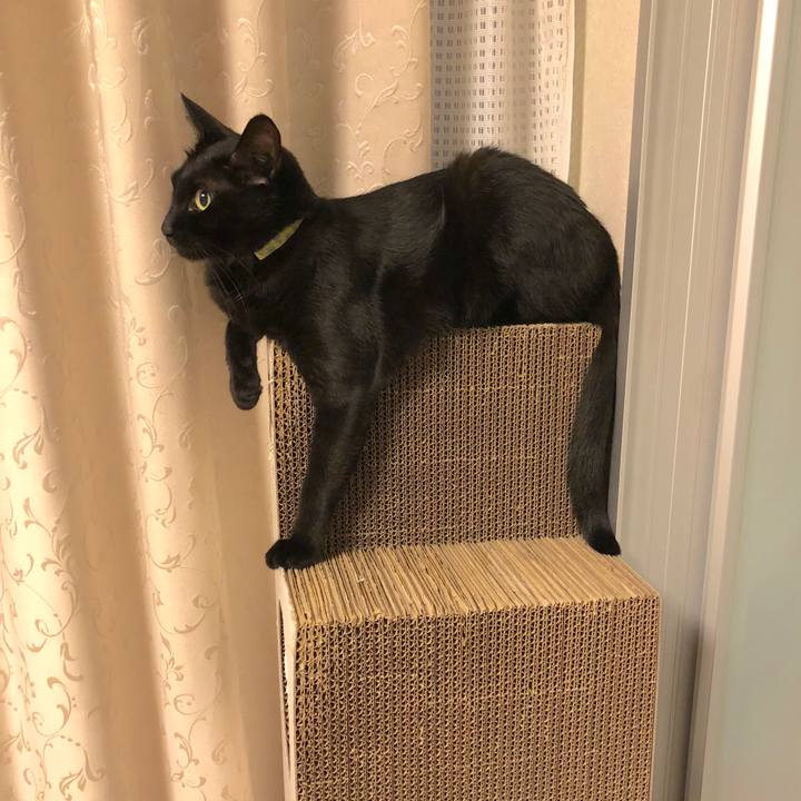 48c23dda 0ff5 4f06 85b1 3aa4d1f09f68 1537532028570