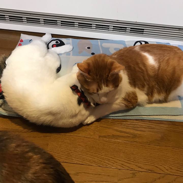 48c27706 e9ed 44cd 81b8 2306670b2041 1616317477526